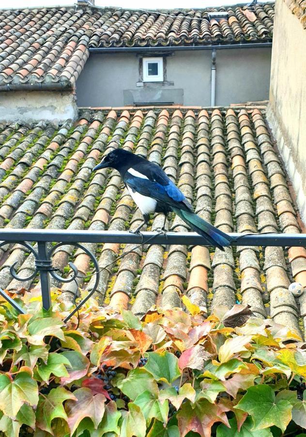 Maison de maître à BRAM # Jacuzzi Bram Exterior foto